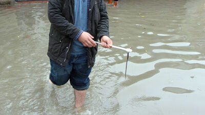 İstanbul'u yılanlar bastı!