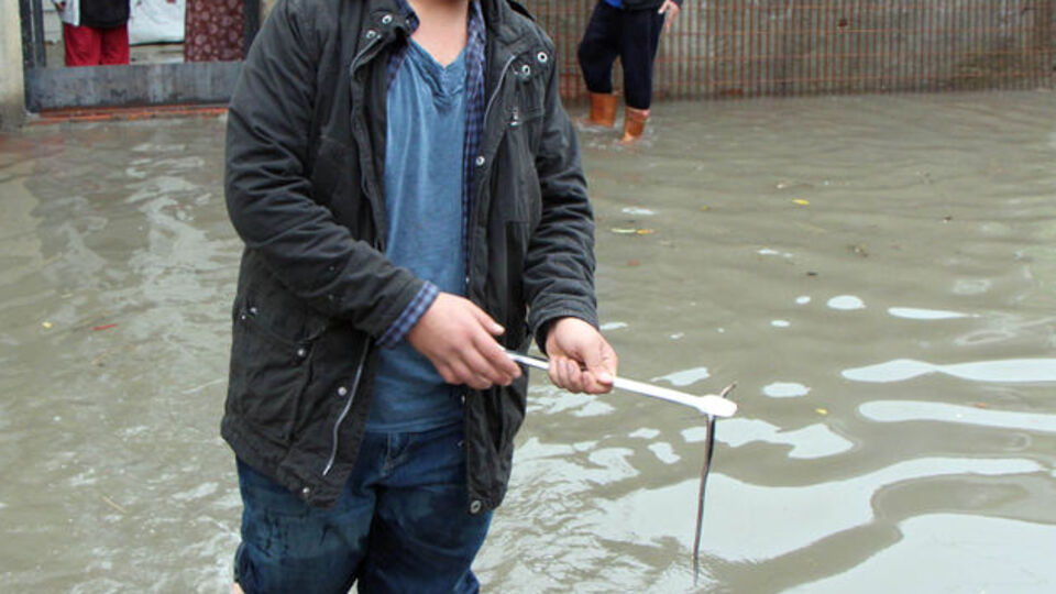 İstanbul'u yılanlar bastı!