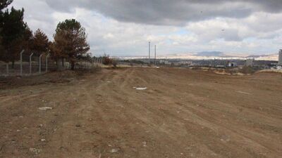 İşte ODTÜ Ormanı'nın son hali