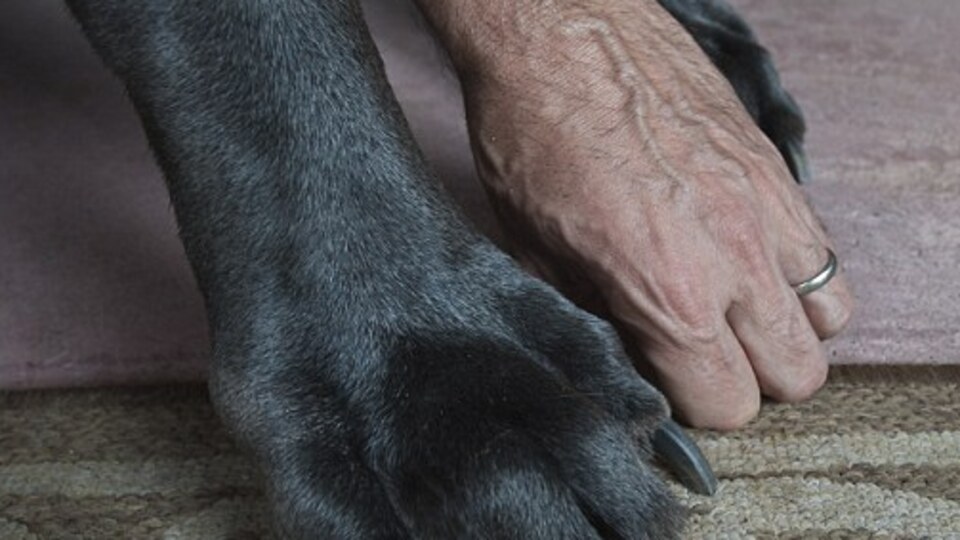 George'dan kötü haber var