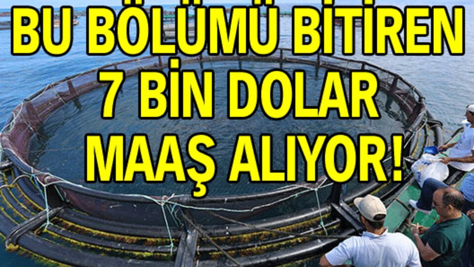 Bu bölümü bitiren 7 bin dolar maaş alıyor!