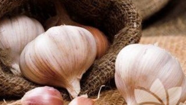 Doğal antibiyotik sarmısak