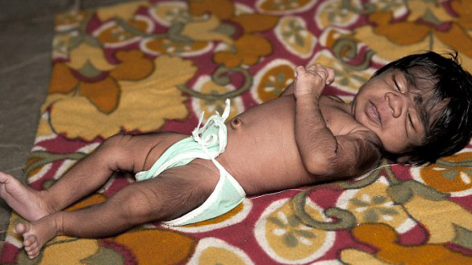 Kurt ailesine yeni üye