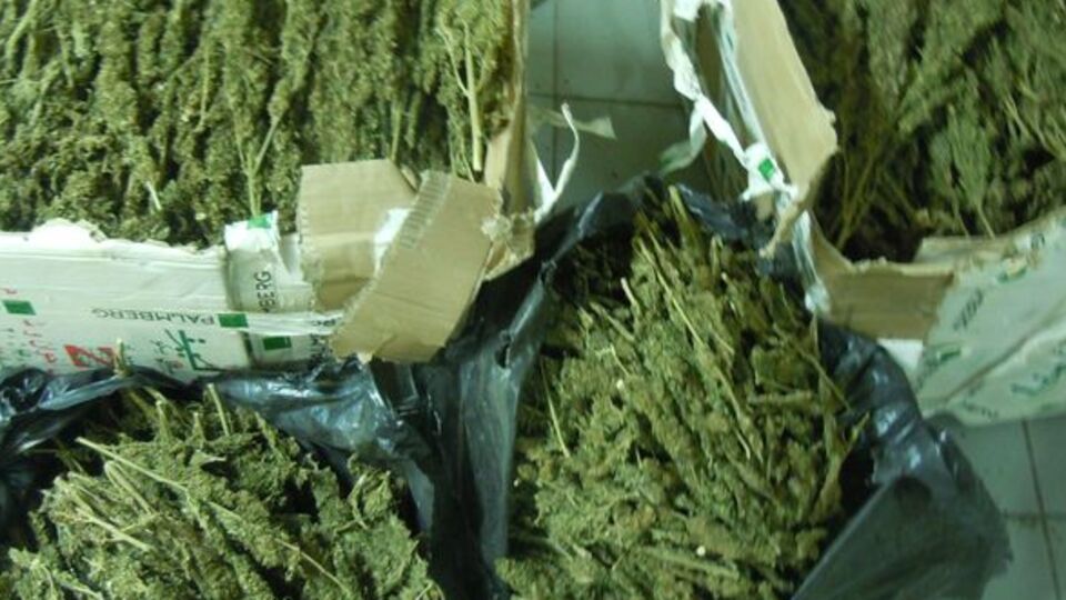 Uyuşturucu tacirinden komik savunma!