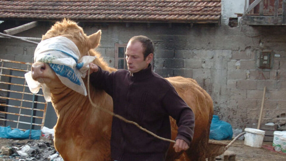 "Oğlum bak git" dedi, Egemen Bağış satın aldı!