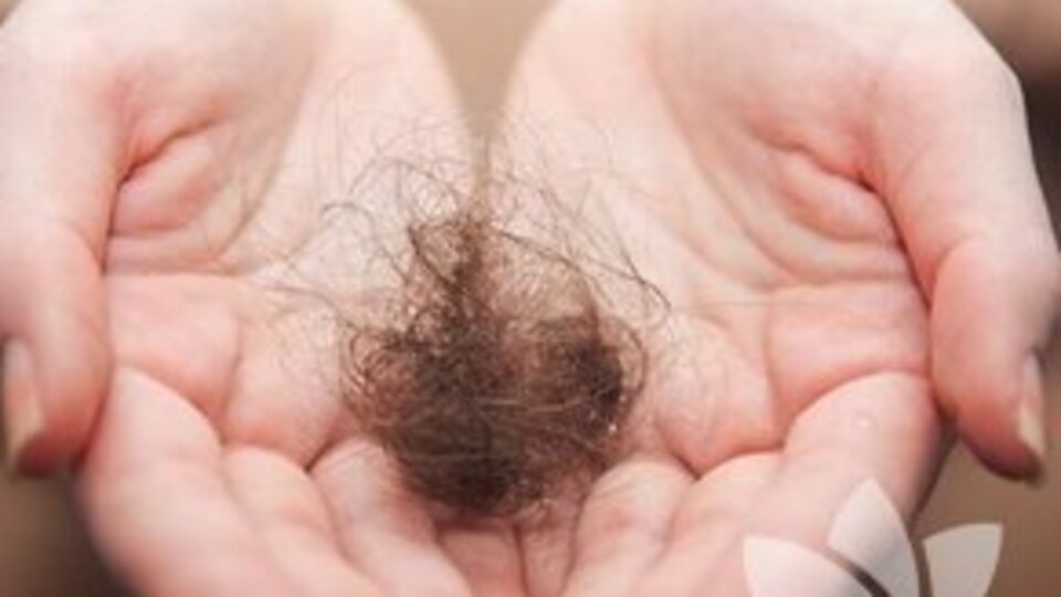 Saç nezlesine dikkat!