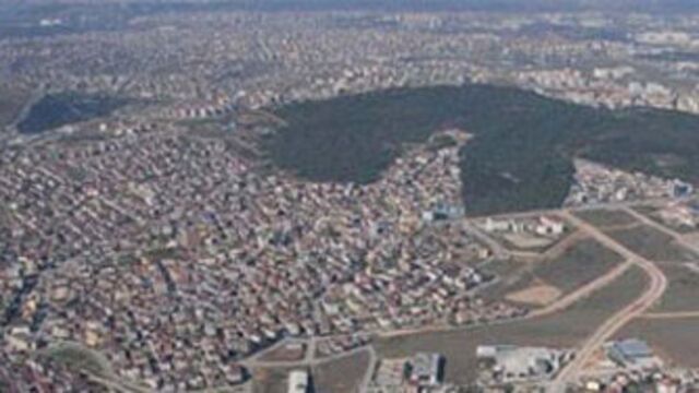 Almanlar yarışa girdi!