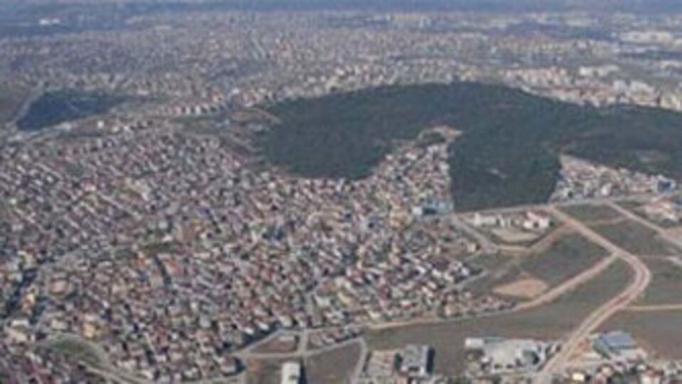 Almanlar yarışa girdi!