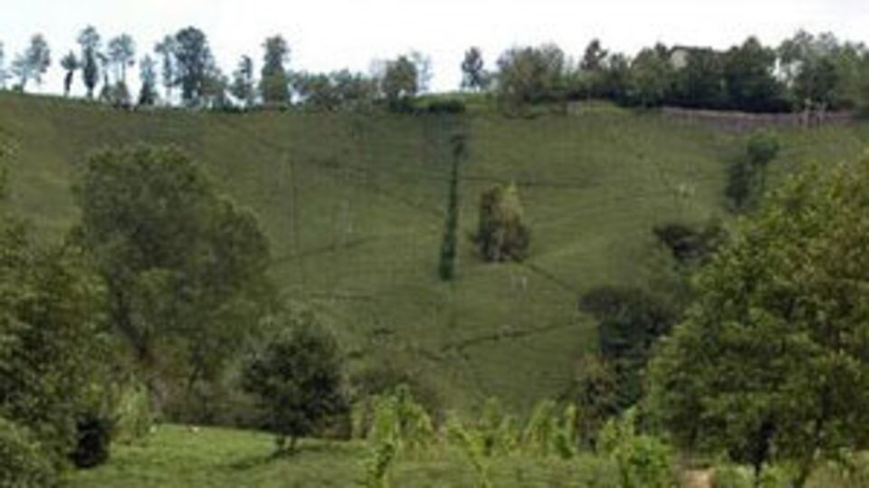 Karadeniz'in yıldızı olacak!