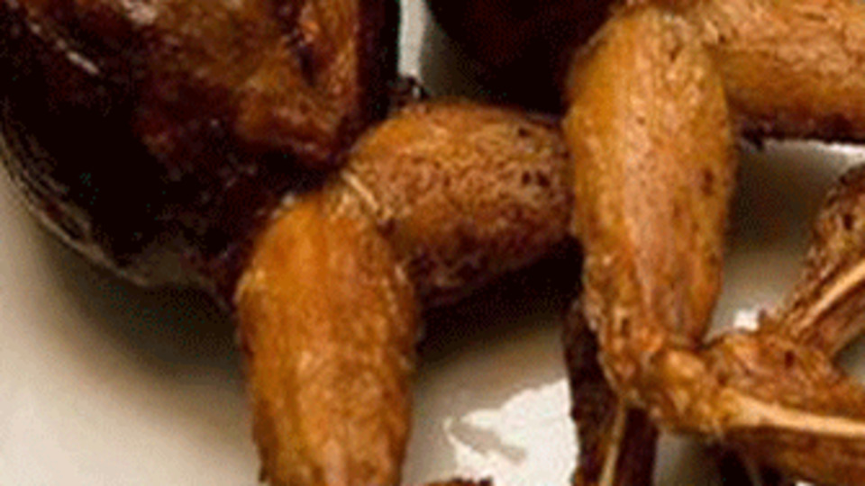 30 milyon dolarlık kurbağa bacağı!