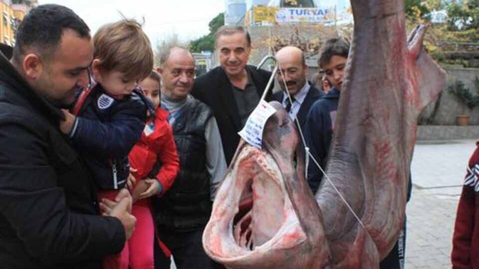 Balığın içinden çıkanlar görenleri şaşkına çevirdi