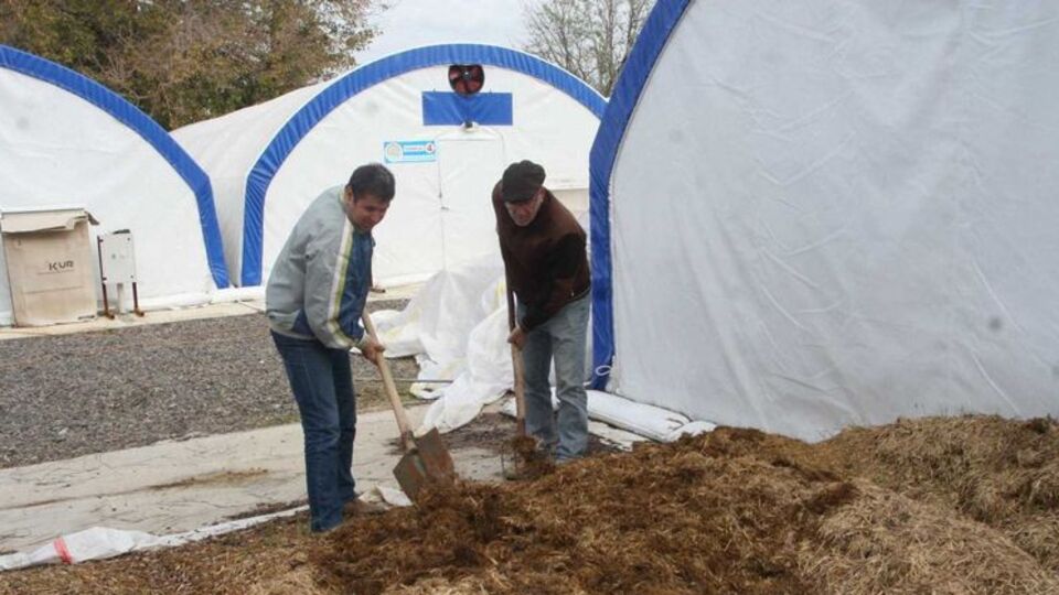 Ayvalık istiridye mantarıyla kalkınacak!