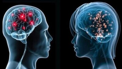 Kadın beyni ve erkek beyni arasındaki farklar!