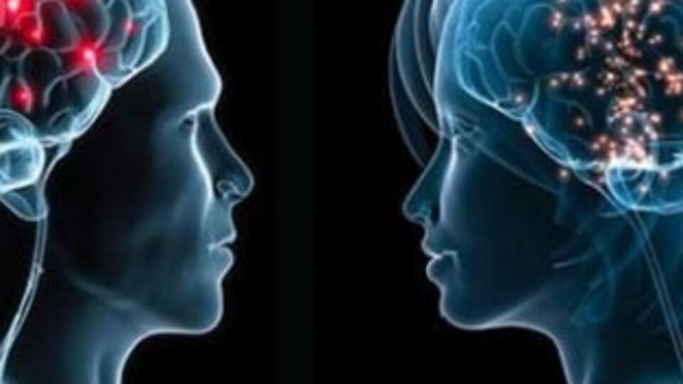 Kadın beyni ve erkek beyni arasındaki farklar!