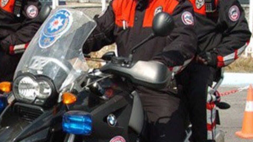 Yunuslar İstanbul'da motorlardan iniyor