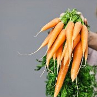 Doğal viagra havuç