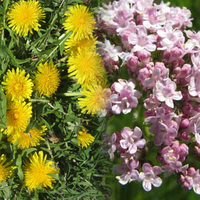 Dikkat! Çocuğunuz olmayabilir!