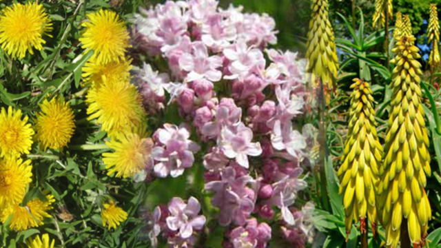 Dikkat! Çocuğunuz olmayabilir!