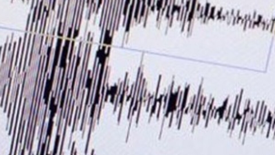 Van'da panik yaratan deprem!