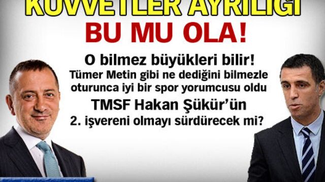 Kuvvetler ayrılığı bu mu ola!