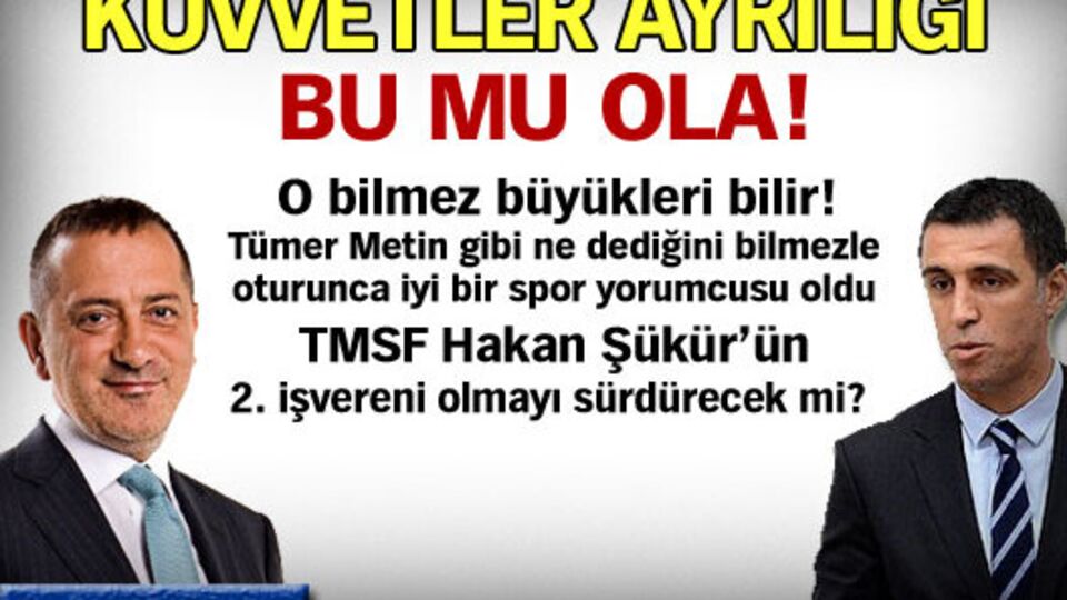 Kuvvetler ayrılığı bu mu ola!