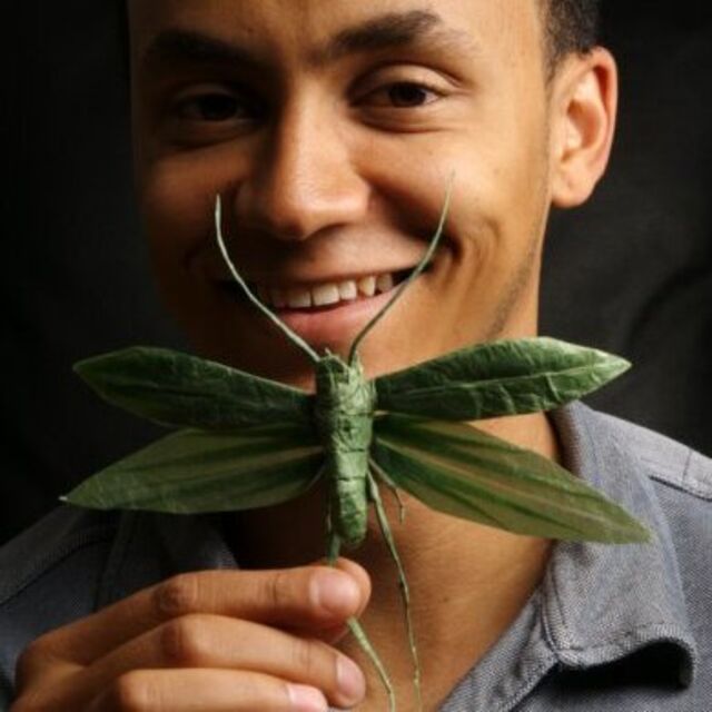 Origami sanatçısından rekor