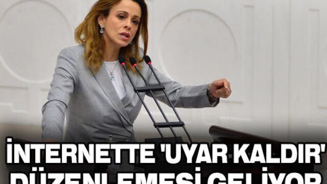 İnternete 'Uyar-Kaldır' düzenlemesi