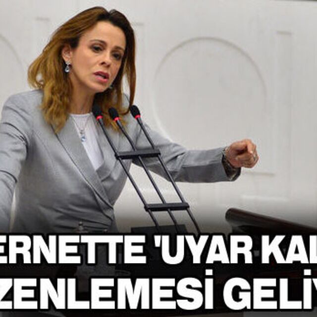 İnternete 'Uyar-Kaldır' düzenlemesi