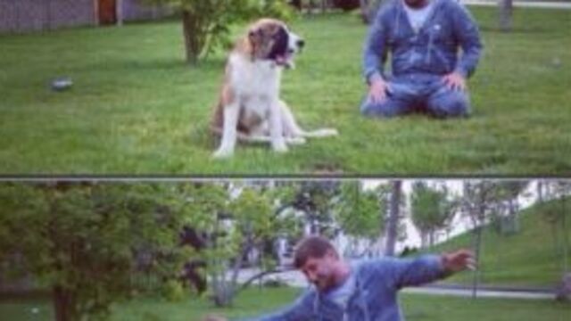 Kadirov'un kaybolan köpeği İnguşetya'da bulundu
