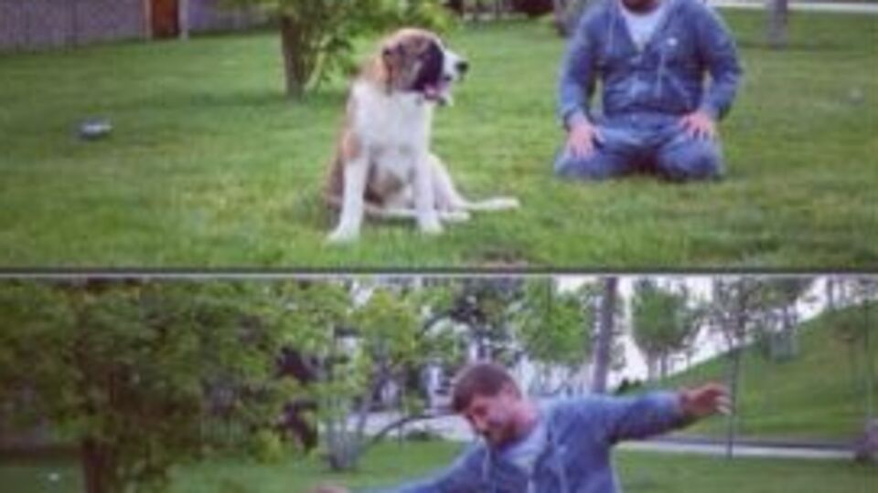 Kadirov'un kaybolan köpeği İnguşetya'da bulundu