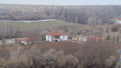 Köye inip 4 kişiyi ısıran kurt kuduz çıktı