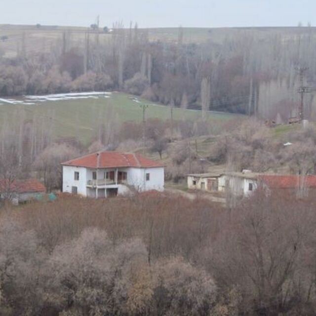 Köye inip 4 kişiyi ısıran kurt kuduz çıktı
