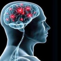 Türkiye'nin IQ'su kaç?