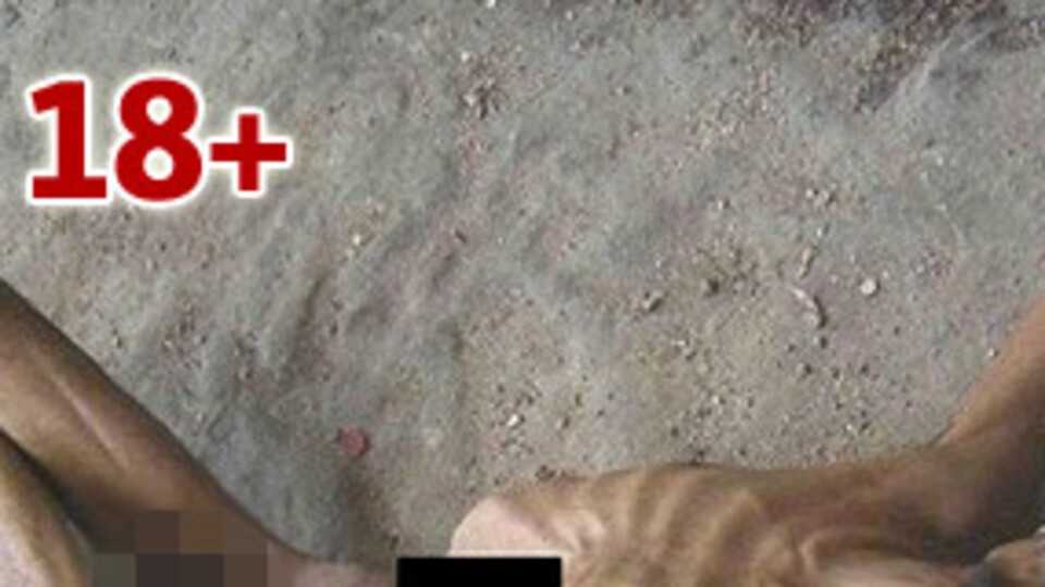 Suriye'de savaş suçu belgeleri