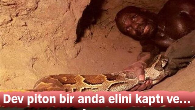 Belgeselcilerin şok olduğu an!