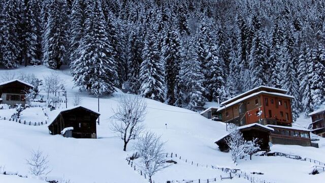 Ayder Yaylası kışın turistlerin gözdesi!