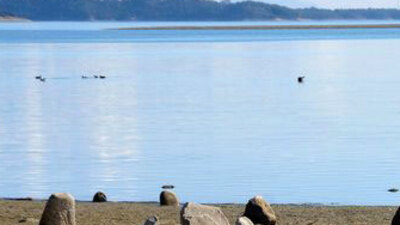 Sular çekilince ortaya çıktı!