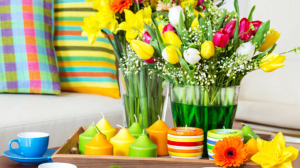 Evinizde daha çok bitki beslemeniz için 3 sebep