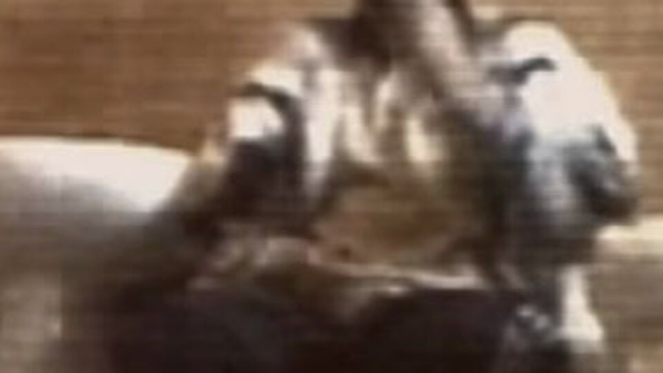 Abdullah Öcalan'ın sorgu görüntüleri ortaya çıktı