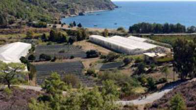 2B'lere yabancı markajı