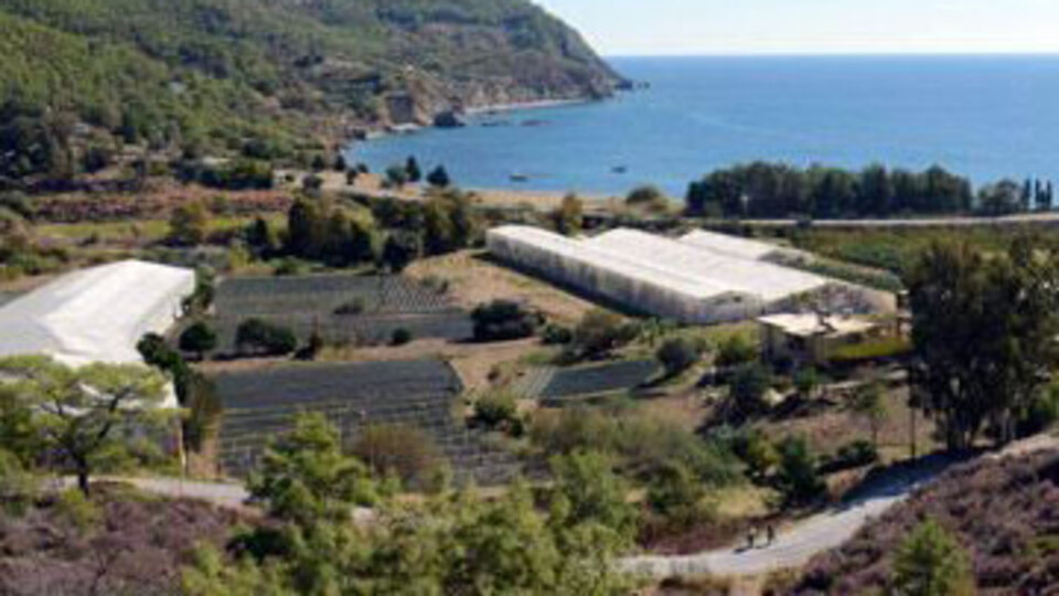 2B'lere yabancı markajı