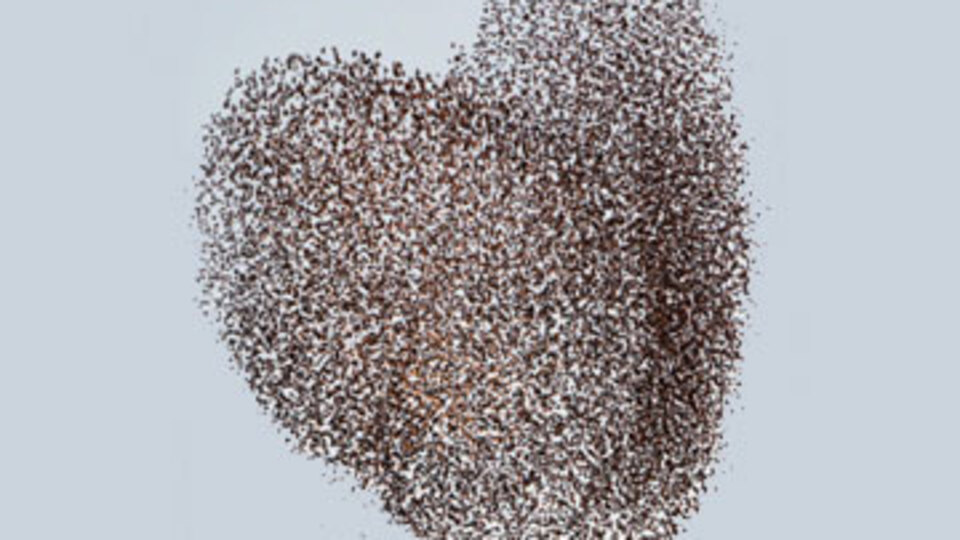 Gökyüzünde kalp çizdiler