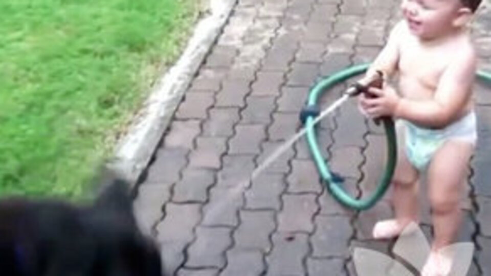 Bebekleri kahkahalara boğan köpekler