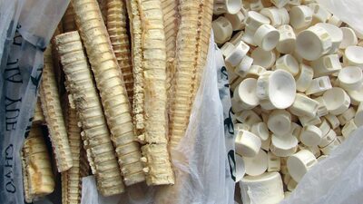 Köpekbalığı kıkırdağına dikkat!