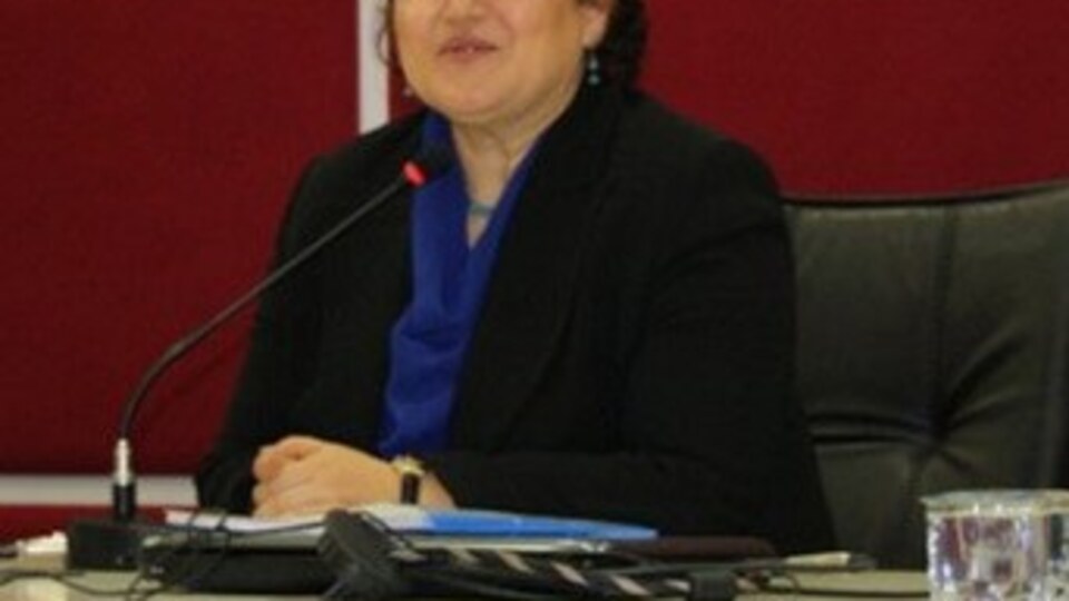 "2010 yılında 'yetmez ama evet' demiştim, keşke..."