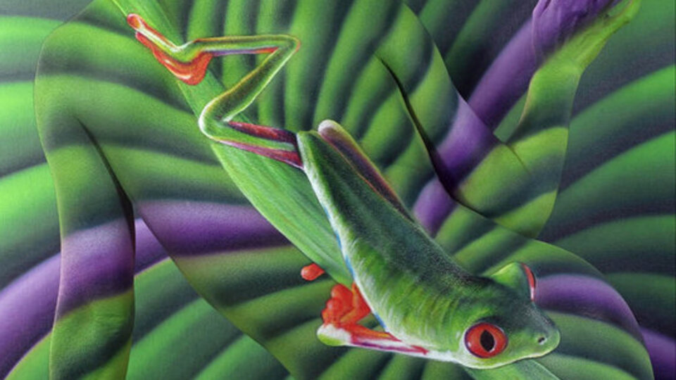 Vücut boyama sanatının harikaları