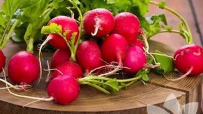 Kırmızı turpun faydaları