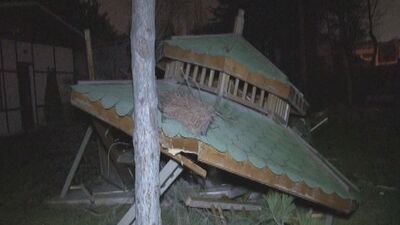 Ankara'da ağaç kesimi gerginliği!