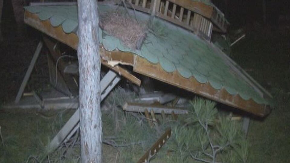 Ankara'da ağaç kesimi gerginliği!