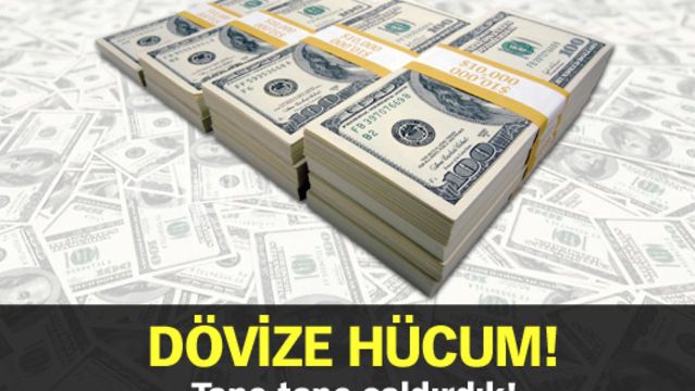 Dövize hücum!